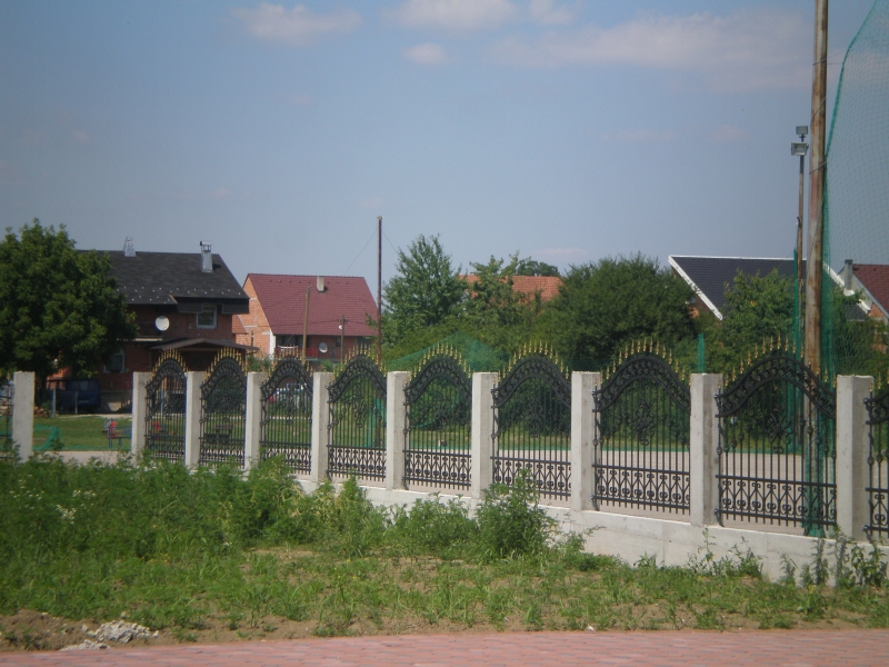 P7080069