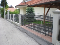 P5040011