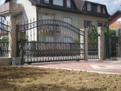 P8131842